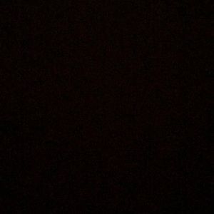 Meet your Posher, Parrish